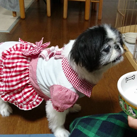 かぶちゃん、初動画です❤の画像