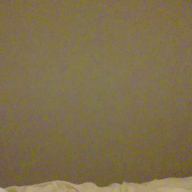 １６. 見たら幸せになれる動画の画像