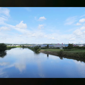 しかし、悔しくて。。。心屈せず、ファイト♡の画像