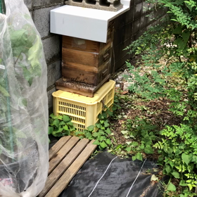 胸きゅ〜んの画像