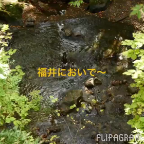 チョイ山散歩の画像