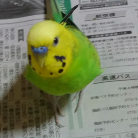 感謝の気持ちを忘れずに。。の画像