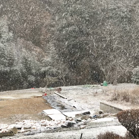 今年もお世話になりました。の画像