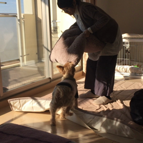 ママとの争い❕の画像