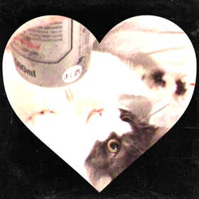 はな銀行さん(๑•ૅㅁ•๑)の画像