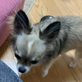 今日のソラくんの画像