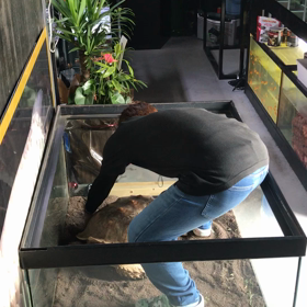 やっとおてついて来たか❓の画像