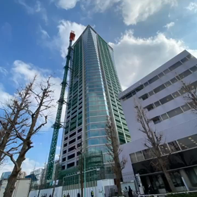 Shima散歩Tokyo ver.1 渋谷原宿表参道一周散歩の画像