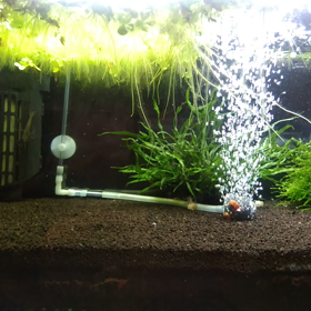 立ち上げ（18日目）の画像