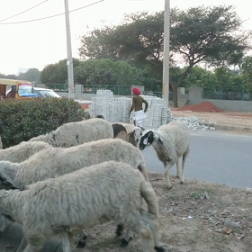 日常の風景の画像
