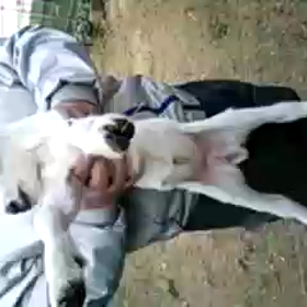 らっぱ…？？の画像