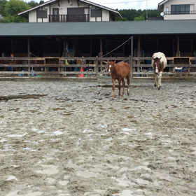 続き…。の画像