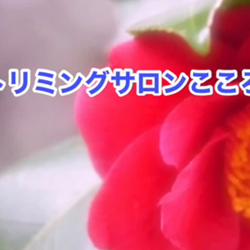 1月　〜スライドショー〜の画像