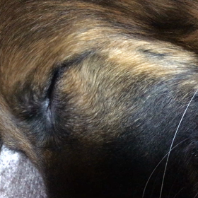 まったりゆっくりまったりの画像