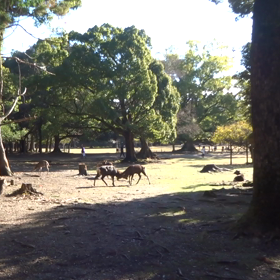 くれぐれも油断召されるなの画像