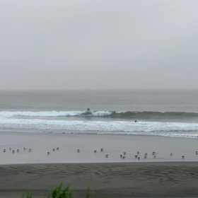 8月1日千葉北、東浪見の朝の波の画像