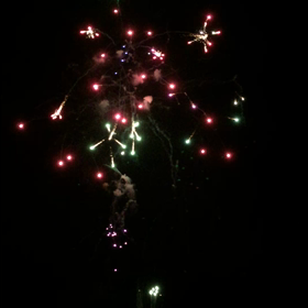 今夜は…の画像