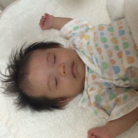 モロー反射 ムービーの画像