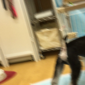 ちょっとタンマ。の画像