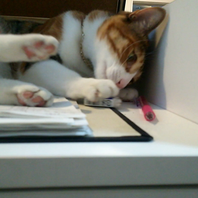 消ゴムがないの画像