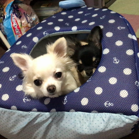 2人ともかわいいの画像