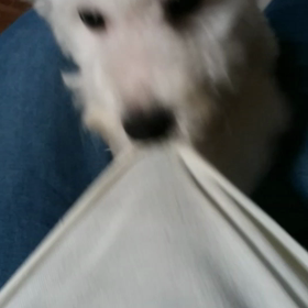 普段こんな感じの画像