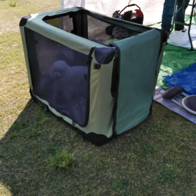 テリア展　休憩中の画像