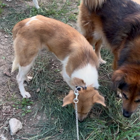 ”県庁にて”の画像