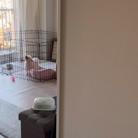 ミルク姐さんの画像