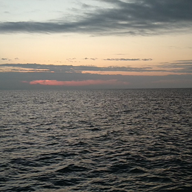 泳がせ同船ジギングの画像