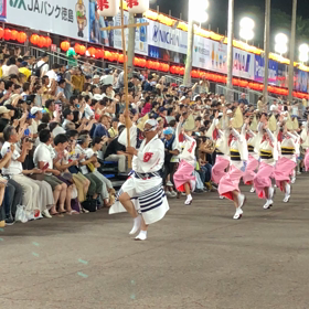 阿波踊りの画像