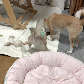 相変わらずのふたりの画像