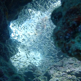 梅雨入り、？の画像