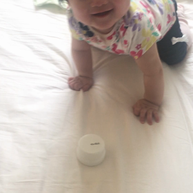 ハイハイの画像