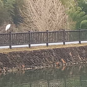 １月のウオーキングはここ❕の画像