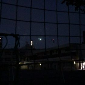 本日も。の画像