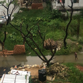 雨が降るとバングラデシュはこうなるの画像