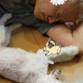 暑い日はお部屋でお昼寝の画像