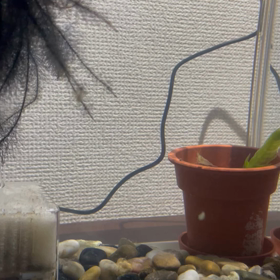 今日は1日聖書の勉強の日の画像