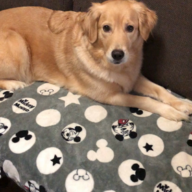 我が家nowの画像