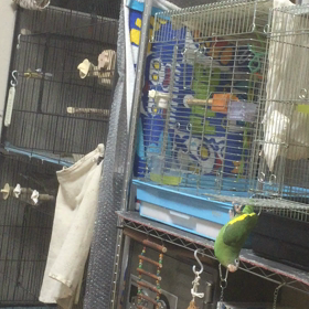 マシンガントークの画像