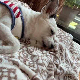 へんな子守唄で寝れるわけないじゃんの画像