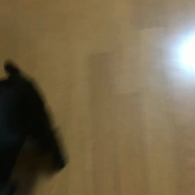 次の打ち合わせからいよいよ内装(*ﾟ∀ﾟ*)の画像