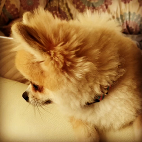 おはよー！の画像