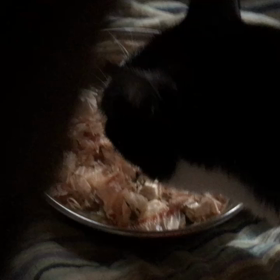 仲良く食べようねの画像