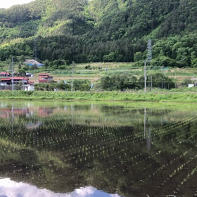 HC85試運転の画像