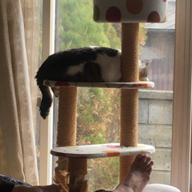 気になるぅ～の画像