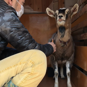 むぎのチャンチャンコまた来年ね。の画像