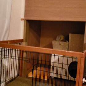 ももちゃんのハウスの画像