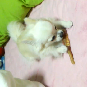 夜中に･･･の画像